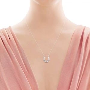 Brand New Tiffany & Co. Sterling Silver Horse Shoe Necklace